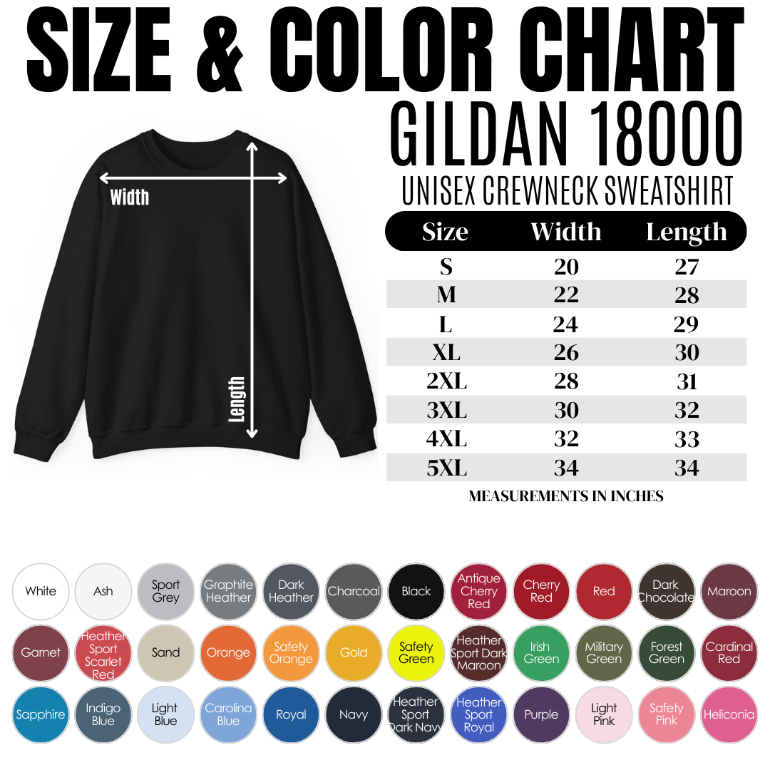 School Spirit Coquette Applique' EMB Crewneck