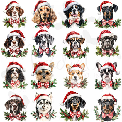 Santa Paws Custom Tee -  Crew